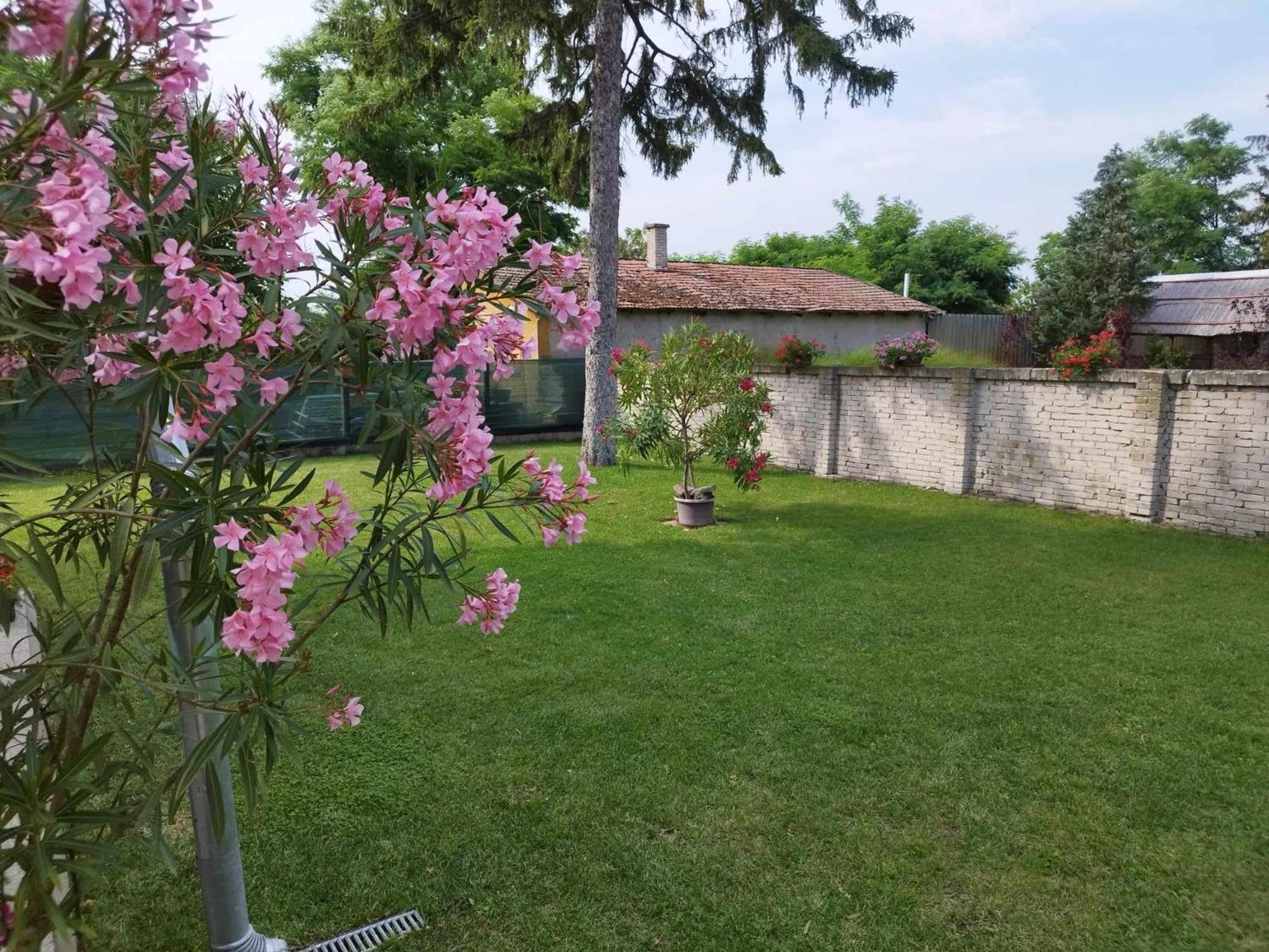 Tartós Szegfű Vendégház, Magánszállás Tazlar Exterior foto