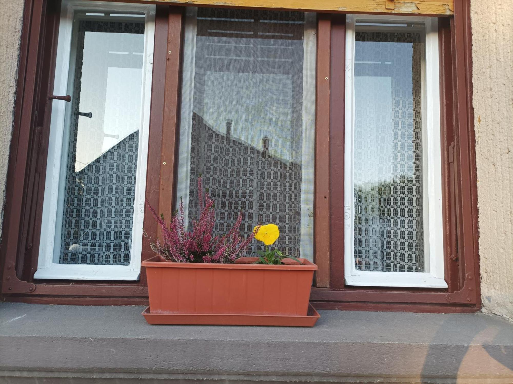 Tartós Szegfű Vendégház, Magánszállás Tazlar Exterior foto