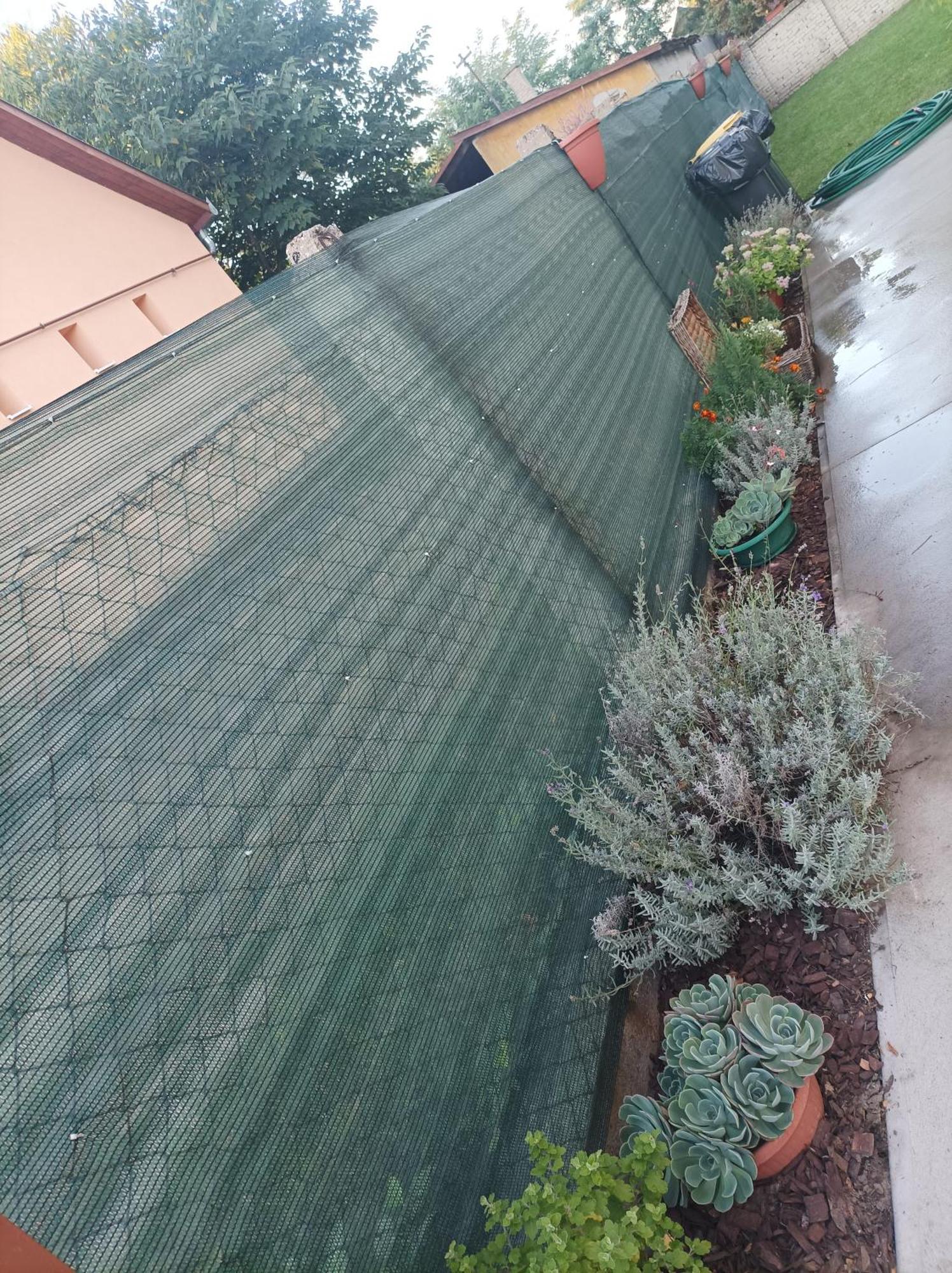 Tartós Szegfű Vendégház, Magánszállás Tazlar Exterior foto